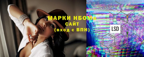 мдпв Новозыбков